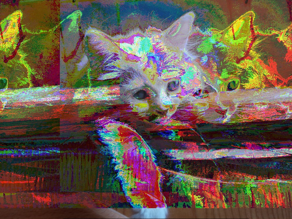 picture of the kitten with 2 repeats behind and after it, all colored very strangely