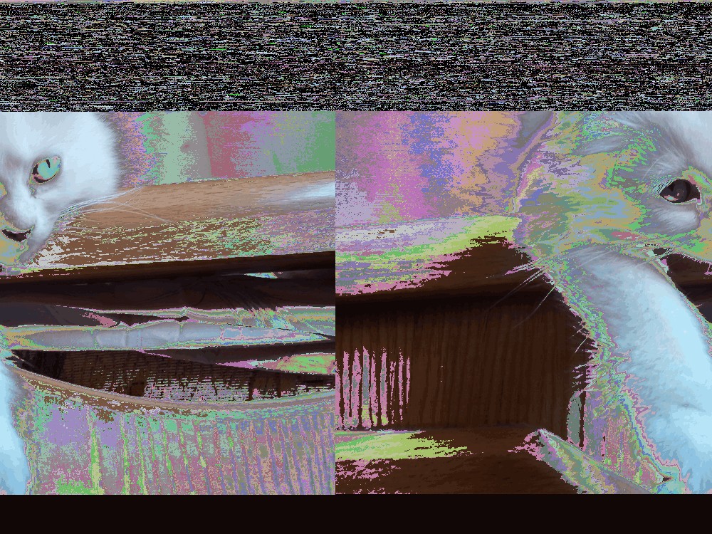 kitten with weird psychedelic colors, shifted to the right. noise covering the top half of the image