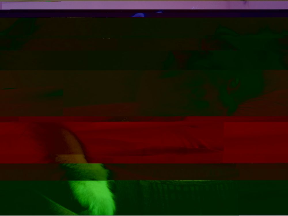 that same image of the kitten shifted horizontally and in green and red