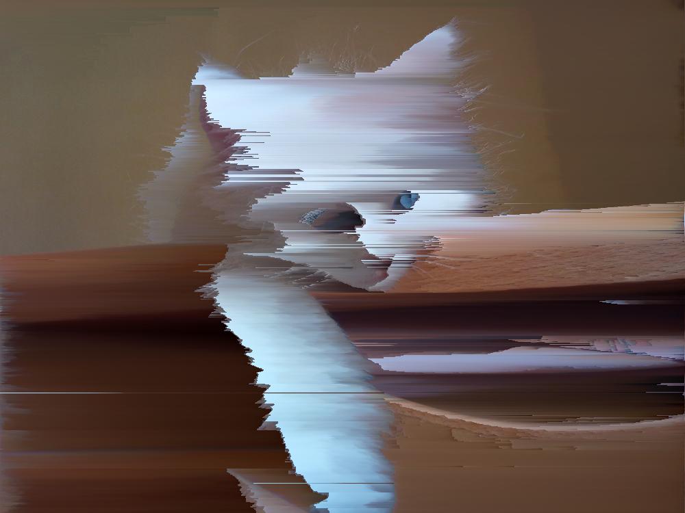 kitten shape vaguely visible, sorted colors lightest to darkest