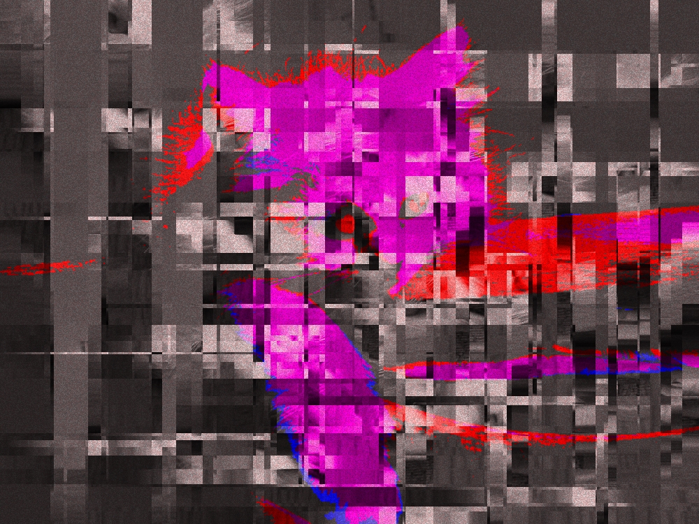 black and white image with the kitten in the middle, now purple, with red outlines and a red iris, highly distorted